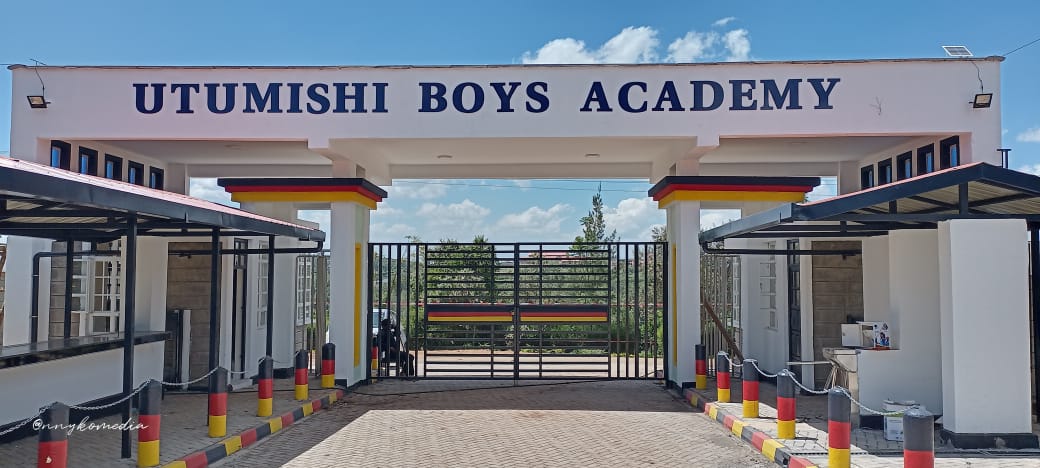 About Utumishi Academy